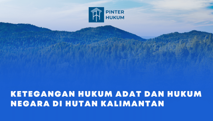 Ketegangan Hukum Adat dan Hukum Negara di Hutan Kalimantan